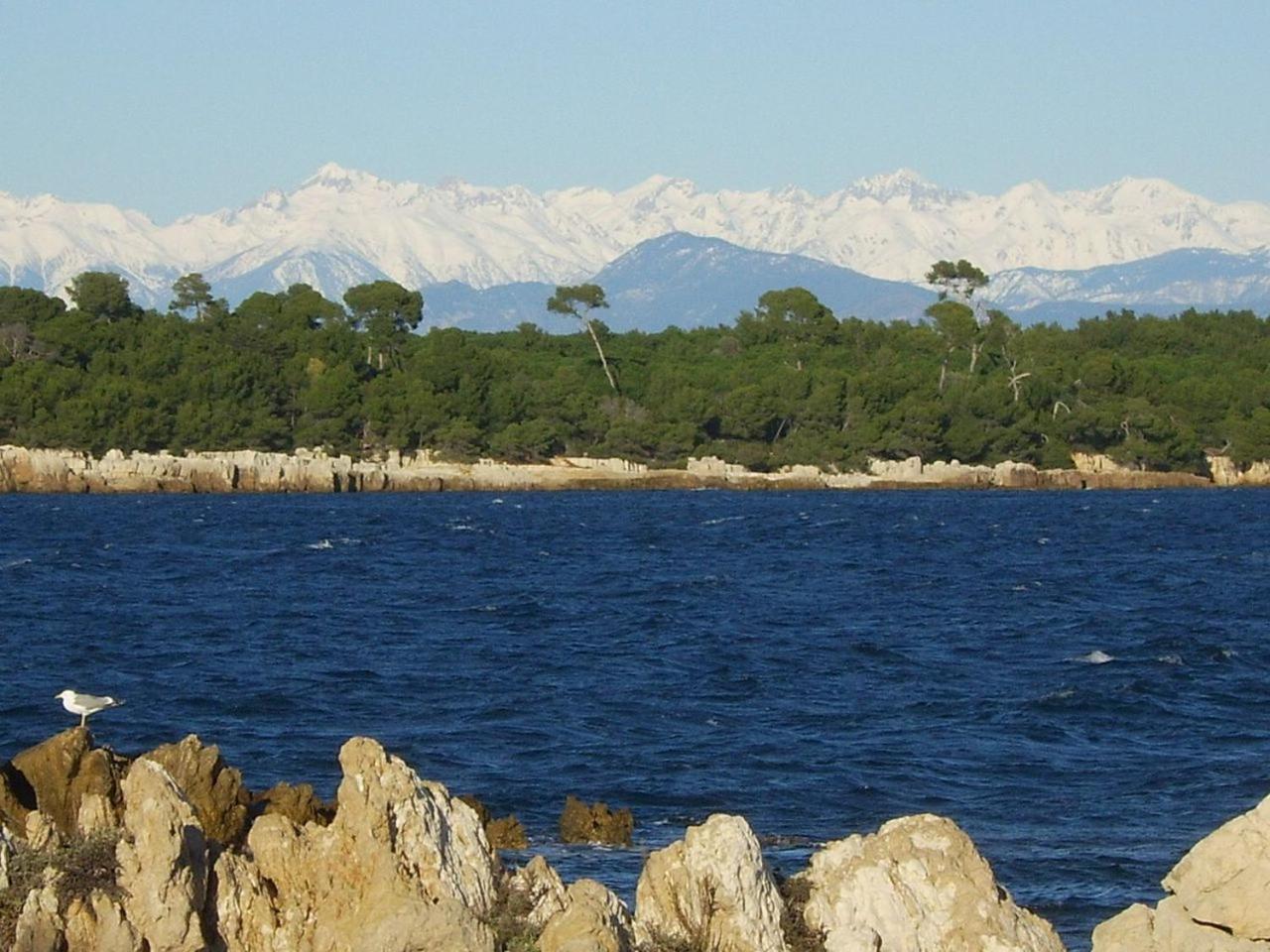 Cannes Design Vue Mer Esterno foto
